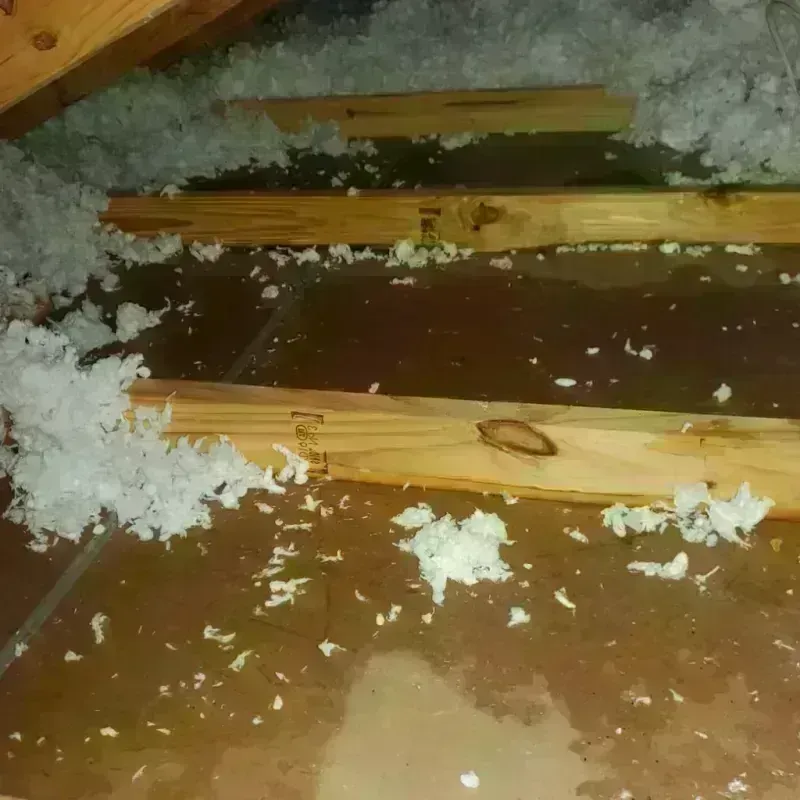 Attic Water Damage in Newman, CA