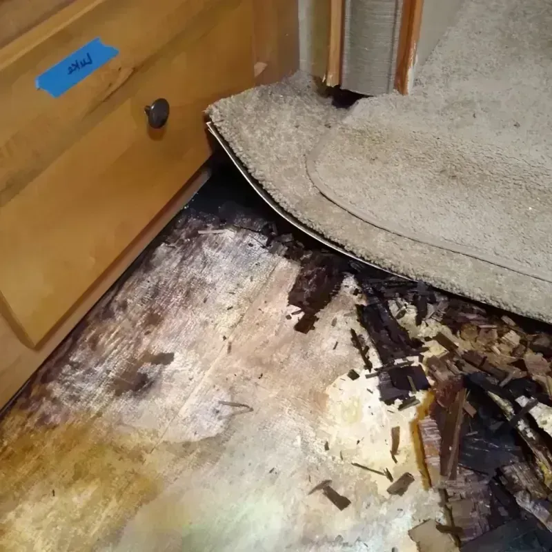 Wood Floor Water Damage in Newman, CA